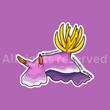 Hypselodoris- Sticker