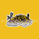 South African Halgerda - Sticker