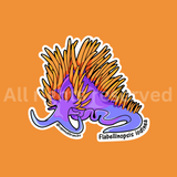 Spanish Shawl - Sticker