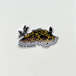 South African Halgerda - Sticker